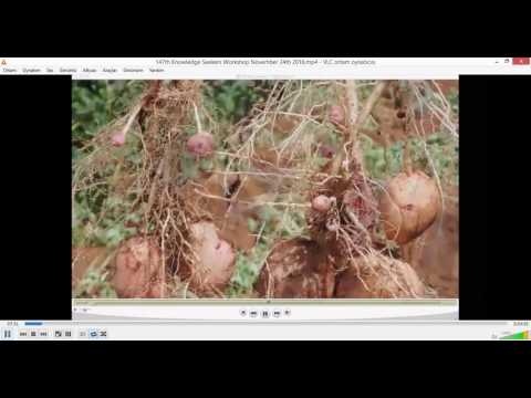 2016 11 26 PM Public Teaching in Turkish - Türkçe Kamu Öğretileri