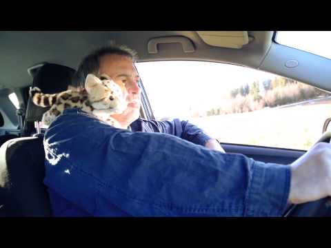 GÖTZ WIDMANN "Für Euch" (Official Music Video)