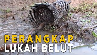 Download lagu Membuat perangkap belut dari anyaman bambu | SISI LAIN mp3