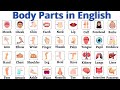 Body Parts Body Parts For Beginners Learn Body Parts In English