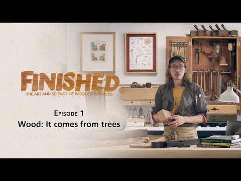 WOOD: It comes from trees  |  FINISHED ep.1