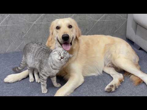 YouTube 썸네일