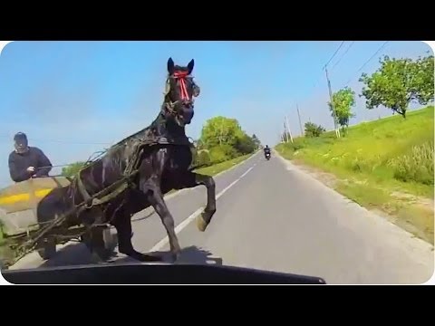 Video de YouTube