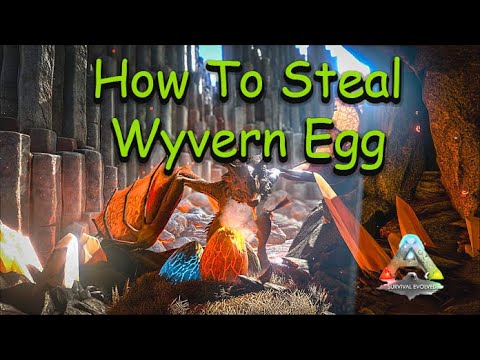 HOW TO STEAL YOUR FIRST WYVERN EGG 2021 (ARK survival evolved) #ARK #howto #wyvernegg #tutorial