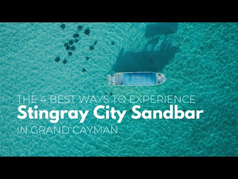 The 4 Best Ways To Experience Stingray City Sandbar in Grand Cayman
