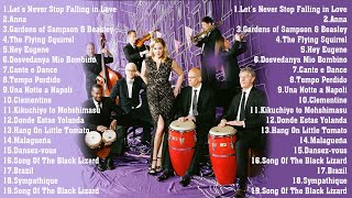 THE VERY BEST OF PINK MARTINI GREATES HITS FULL ALBUM COLLECTION