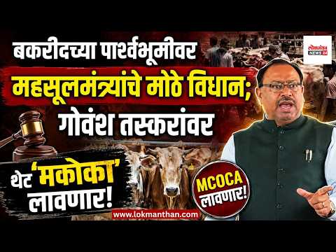बकरीदच्या पार्श्वभूमीवर महसूलमंत्र्यांचे मोठे विधान; गोवंश तस्करांवर थेट ‘मकोका’ लावणार!
