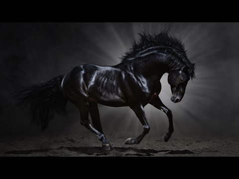 THE BLACK HORSE - ECONOMIC DOWNTURN IN AMERICA
