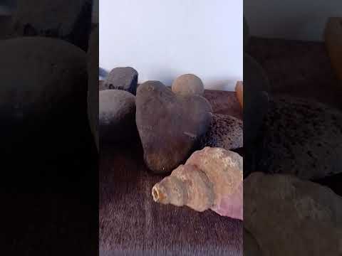 Ubicado en el Pueblo Salasaka Pelileo Tungurahua. Contactos Whatsapp: +593988282329