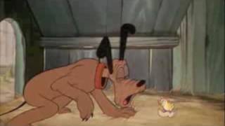 Animal Collective - Did You See The Words