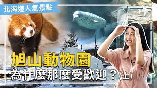 (上)北海道 動物園｜日本第一動物園，北海道人氣景點，旭山動物園的秘密。如何成為日本最受歡迎的動物園！旭山動物園全解析--上集  #北海道景點 #日本動物園 #旭川市｜日本第一動物園