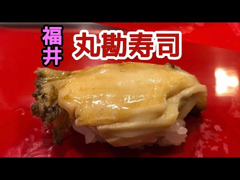 [Marukan Sushi] Un restaurante de sushi al que regresan personas de alrededor de 50 años [Fukui Tsuruga]