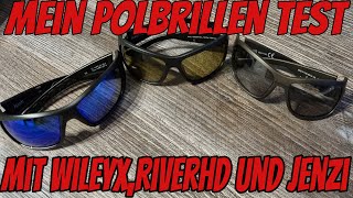 Polarisationsbrille Test mit 4 Polbrillen