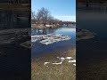 Video Thumbnail for Assiniboine River Update.