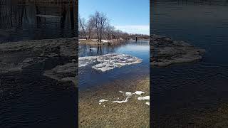 Assiniboine River Update.