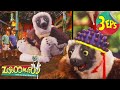 Grow Zoboo Grow Ants And Eaters Brain Power Zoboomafoo Triple Feature Episodes 63 65