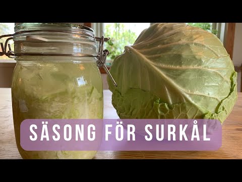 Gör egen hemmagjord Surkål