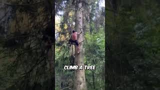 Download lagu Tarzan in REAL LIFE ! mp3 Download lagu Tarzan in REAL LIFE ! mp3