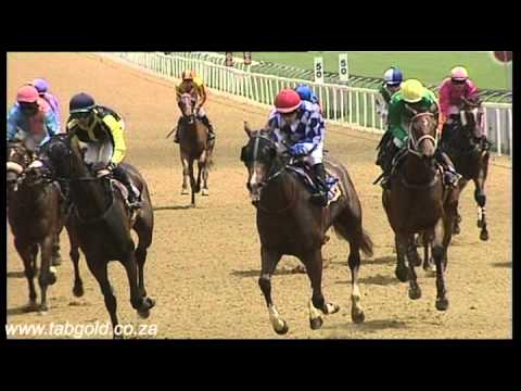 20151101 Greyville Race 1 won by TOLL FREE