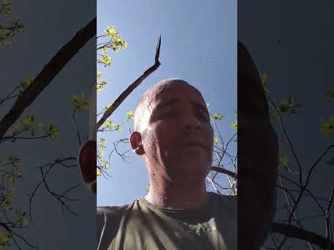 subida na serra das araras em Teresina de Goiás na #chapadadosveadeiros