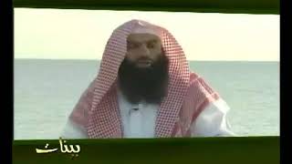 بينات 1428 14 تأملات في الجزء الرابع عشر من القرآن العظيم image