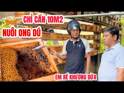 Độc lạ mô hình nuôi ONG DÚ kiếm hàng chục triệu mỗi tháng của em rể Khương Dừa