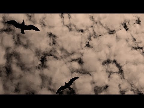 Tino El Pingüino - Sé Que Esperabas La Lluvia (prod. por Mezcalibur, Maxo & Maestro Alex)