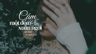 Video hợp âm Hai Vì Sao Lạc Ý Linh