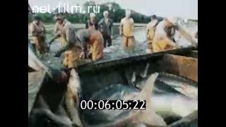 Рыболовная база астраханская область икрянинский район
