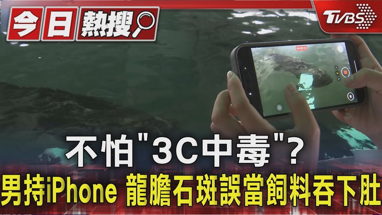 獨/不怕「3C中毒」?男持iPhone 龍膽誤當飼料吞下肚