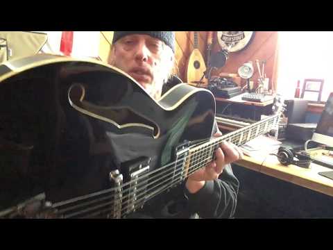 D'Angelico Premier SS Semi-Hollow Electric Guitar!