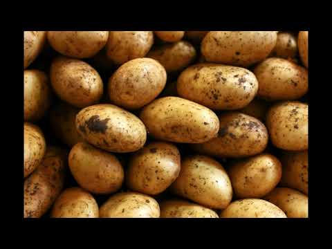 Αγρόκτημα Φύσης Ποιήματα