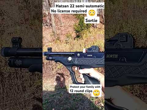 Hatsan | Hydra QE | .22 and .25 Cal | Hydra Review