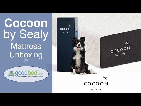 Cocoon (by Sealy) Mattress Unboxing (VIDEO)