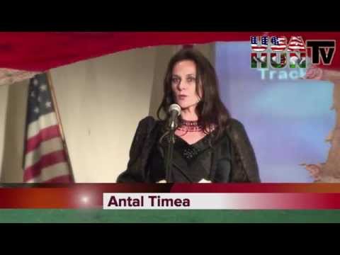 Antal Timea október 23. / részlet/