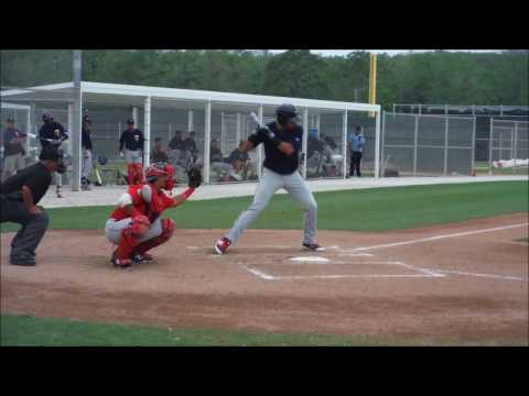 Minnesota Twins OF prospect Roni Tapia hitting in EXST 4/22/2017