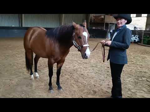 2022 Merlin DD Gunners PAC World E-Show showmanship