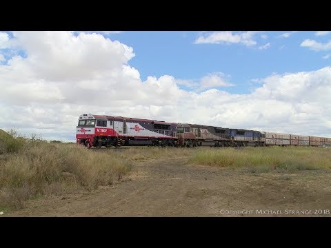 SCT PM9 Freight Train: Boxcars, Refrigerated Vans & Containers - PoathTV Australian Railways