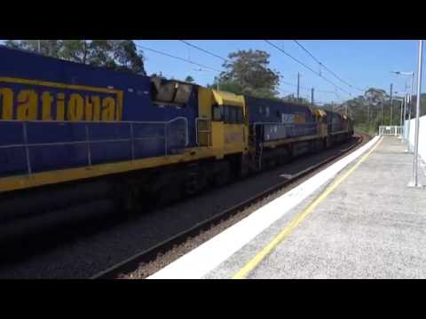 5 NR's elephant style with PN 5NY3 - 8/12/16