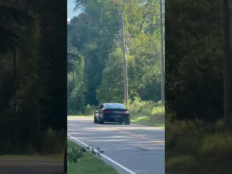 2020 mustang gt with kooks headers/green cats with 3in corsa extreme exhaust double h-pipe #mustang