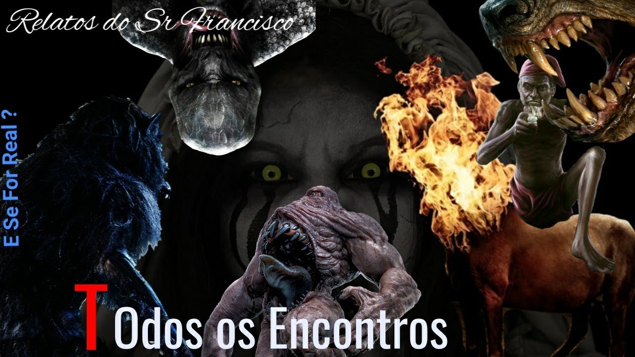 Relatos do Sr Francisco: Todos os Encontros