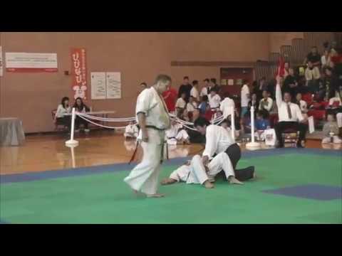 2017 WORLD OYAMA KARATE FIGHTERS CUP MEN'S LIGHTWEIGHT FINAL TYLER