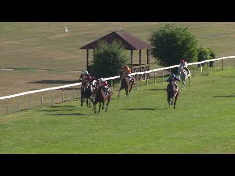 Dostihy Karlovy Vary 7. 8. 2022 - 8. dostih - Cena DZS Struhařov (Memoriál Miroslava Kocourka)