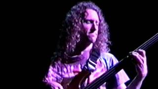 "face yourself" michael hedges and michael manring