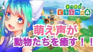 【あつまれどうぶつの森】カワボで住人を癒しまくって金もあわよくばいただくぜ！【女性実況】