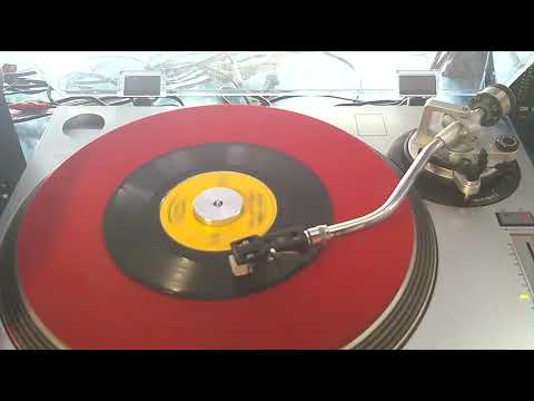 Please Love Me Forever   Bobby Vinton   1967   Styrene Scratchy