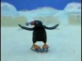 Pingu Pingu Plays Ice Hockey HQ
