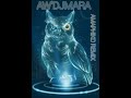 Aw'DjMara - Amaphiko Remix (Iyobanjani Rec)