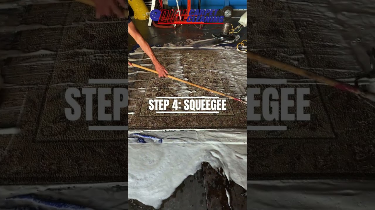 Full dirty rug cleaning