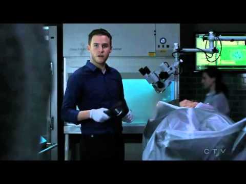 Fitz and Simmons bicker scene | Fitzsimmons | Agents of Shield | 3x17